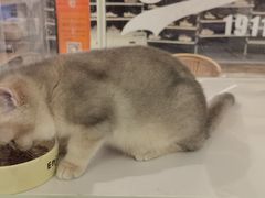 -杭州西湖银泰百货