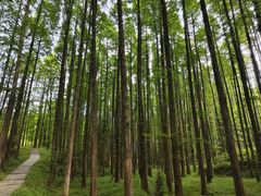 -山王坪喀斯特国家生态公园