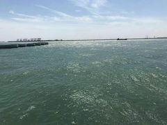 -东疆建设开发纪念公园