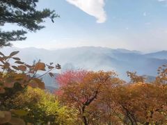 -秦岭风景区