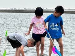 -碧海金沙