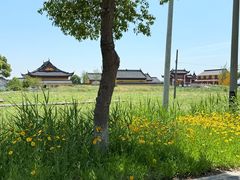 -七的湖·晚芳亭·阳澄湖农家菜·大闸蟹(莲花岛店)
