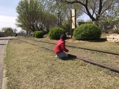 -永定河休闲森林公园