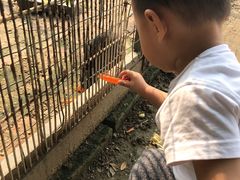 -意大利农场度假村