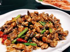 -开海·红岛海鲜虾水饺(石老人店)