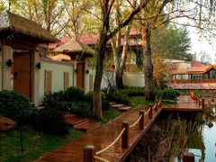 -思念果岭悦温泉