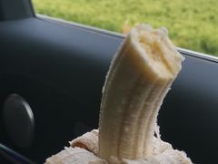 -济南南郊宾馆