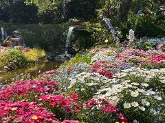 -名花谷生态庄园
