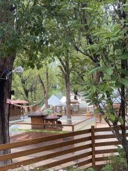 -Zoolung Zoolung动物主题公园(海信广场店)