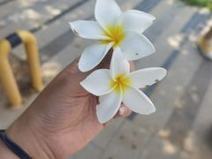 -厦门途易蓝罗约海景温泉酒店(园博苑地铁站店)