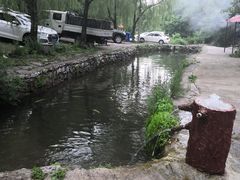 -可心烤鱼