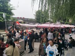 -茯茶镇