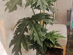 -虾吃虾涮(宋家庄店)