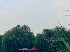 -洛阳市隋唐城遗址植物园
