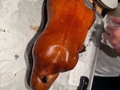 -四季民福烤鸭店(故宫店)