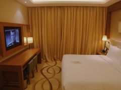 -上海浦东康桥绿地假日酒店