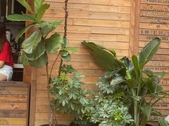 -Elephant Grounds(STARSTREET)