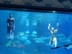 -烟台海昌鲸鲨海洋公园