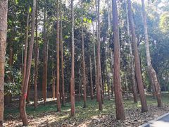-中国科学院西双版纳热带植物园