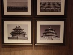 -全聚德(双井店)