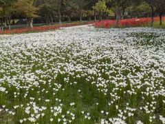 -白塘生态植物园