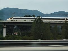 -北京张裕爱斐堡酒庄