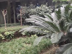 -铸信羽毛球俱乐部