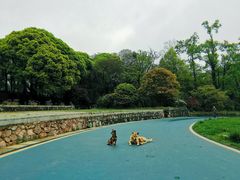 -贵州省植物园