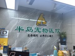 -半岛宠物医院24小时(白果林店)