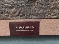 -昆明动物博物馆