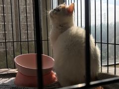 -八公叔叔宠物美容连锁(春申店)