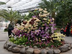 -北京植物园-展览温室
