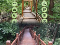 -大岭沟猕猴桃谷风景区