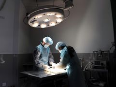 -瑞鹏瑞爱宠物医院·全科·猫科·血液透析中心(龙头寺店)