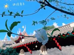 -乌山风景区