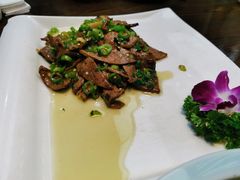-芙蓉凰花园酒楼