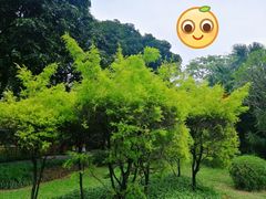 -晓港公园