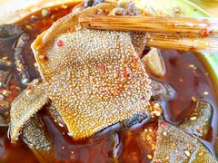 -高记什邡肖麻辣(成都店)