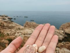 -青岛金沙滩