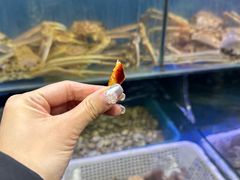 -震海贝烤贝·民俗特色店(延吉总店)