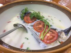 -全乐鱼馆·淳牌有机鱼直营店