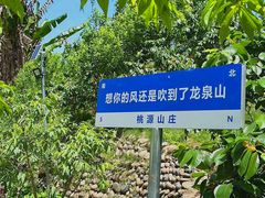 -桃源山庄·水蜜桃采摘·柴火鸡·烧烤团建(龙泉山店)