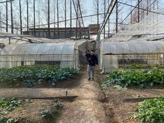 -前小桔亲子创意农场·草莓采摘·露营烧烤