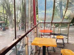 -鸡鸣汤包(红山动物园店)