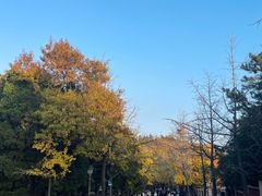 -八大关景区