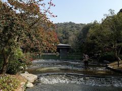 -云溪植物园