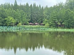 -上海怡沁园度假酒店