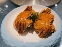-一麦·龙岛(上海青浦店)