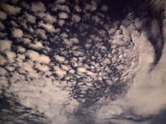 -朝阳公园游乐园