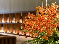 -在前门·烤鸭北京菜(五月花广场店)